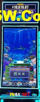 Live Casino Pk44 Bet